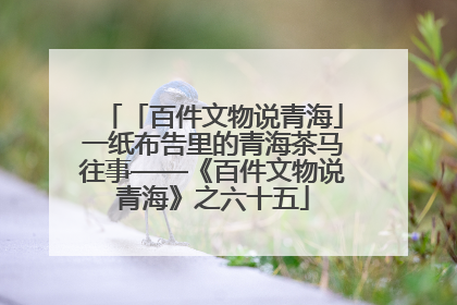 「百件文物说青海」一纸布告里的青海茶马往事——《百件文物说青海》之六十五