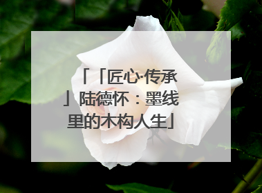 「匠心·传承」陆德怀：墨线里的木构人生