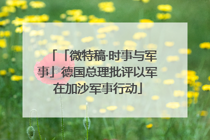 「微特稿·时事与军事」德国总理批评以军在加沙军事行动