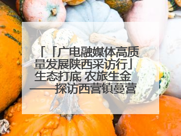 「广电融媒体高质量发展陕西采访行」生态打底 农旅生金——探访西营镇蔓营村省级旅游示范村的振兴密码