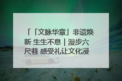 「文脉华章」非遗焕新 生生不息｜漫步六尺巷 感受礼让文化浸润的“巷”往生活