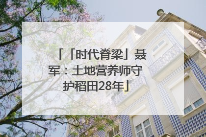 「时代脊梁」聂军：土地营养师守护稻田28年