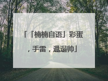 「楠楠自语」彩蛋，手雷，邋遢帅