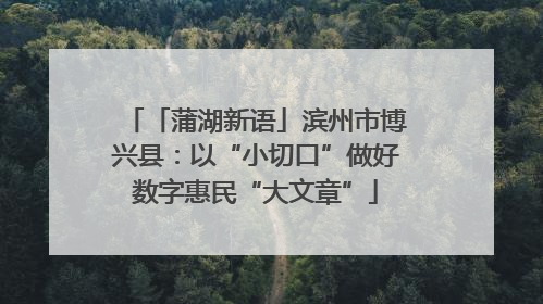 「蒲湖新语」滨州市博兴县：以“小切口”做好数字惠民“大文章”