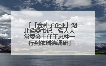 「金种子企业」湖北省委书记、省人大常委会主任王忠林一行到依瑞德调研
