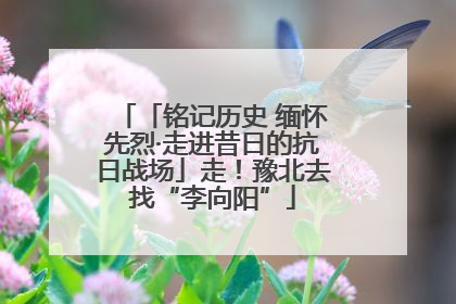 「铭记历史 缅怀先烈·走进昔日的抗日战场」走！豫北去找“李向阳”