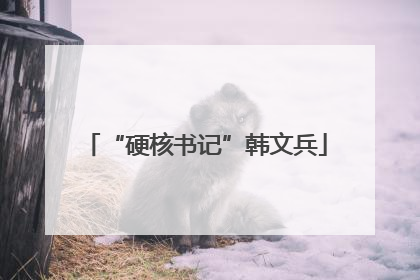 “硬核书记”韩文兵
