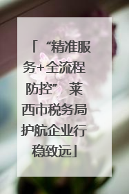 “精准服务+全流程防控” 莱西市税务局护航企业行稳致远