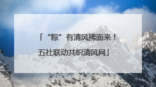 “粽”有清风拂面来！五社联动共织清风网