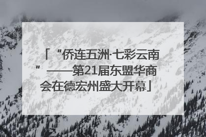 “侨连五洲·七彩云南”——第21届东盟华商会在德宏州盛大开幕