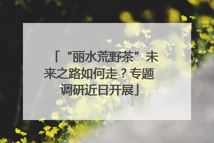 “丽水荒野茶”未来之路如何走？专题调研近日开展