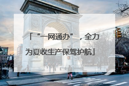 “一网通办”，全力为夏收生产保驾护航