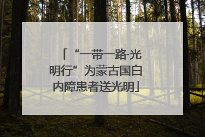 “一带一路·光明行”为蒙古国白内障患者送光明