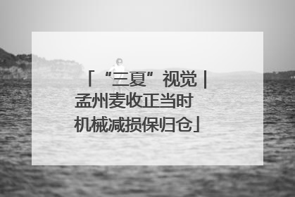 “三夏”视觉｜孟州麦收正当时 机械减损保归仓