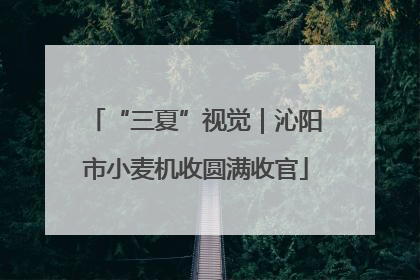 “三夏”视觉｜沁阳市小麦机收圆满收官