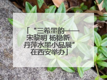 “三希墨韵——宋黎明 杨稳新 丹萍水墨小品展”在西安举办