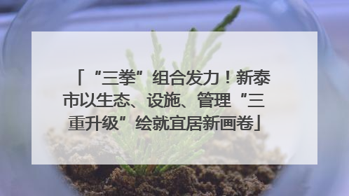“三拳”组合发力！新泰市以生态、设施、管理“三重升级”绘就宜居新画卷