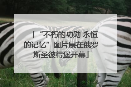 “不朽的功勋 永恒的记忆”图片展在俄罗斯圣彼得堡开幕