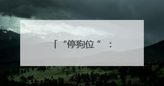 “停狗位 ”：让温情藏在 “方寸之间 ”