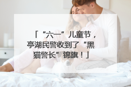 “六一”儿童节，亭湖民警收到了“黑猫警长”锦旗！