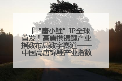 “唐小鲤”IP全球首发！高唐携锦鲤产业指数布局数字赛道——中国高唐锦鲤产业指数暨“唐小鲤”IP全球首发仪式在杭州举行