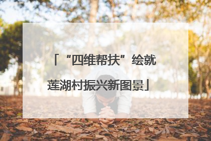 “四维帮扶”绘就莲湖村振兴新图景