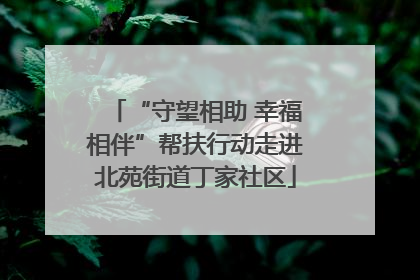 “守望相助 幸福相伴”帮扶行动走进北苑街道丁家社区