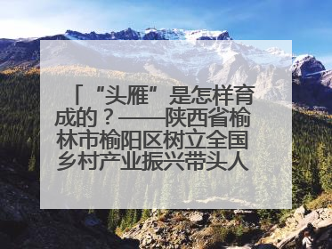 “头雁”是怎样育成的？——陕西省榆林市榆阳区树立全国乡村产业振兴带头人培育标杆