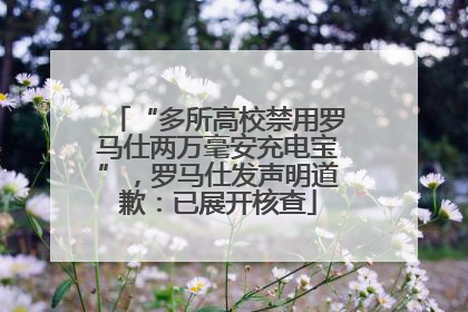 “多所高校禁用罗马仕两万毫安充电宝”，罗马仕发声明道歉：已展开核查