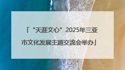 “天涯文心”2025年三亚市文化发展主题交流会举办