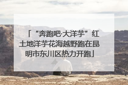 “奔跑吧·大洋芋”红土地洋芋花海越野跑在昆明市东川区热力开跑