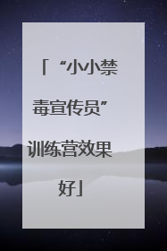 “小小禁毒宣传员”训练营效果好