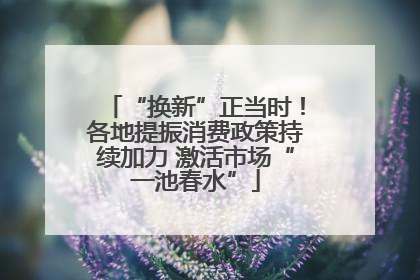 “换新”正当时！各地提振消费政策持续加力 激活市场“一池春水”