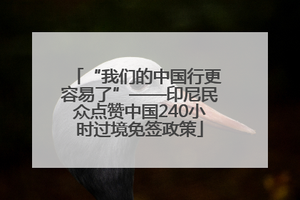 “我们的中国行更容易了”——印尼民众点赞中国240小时过境免签政策