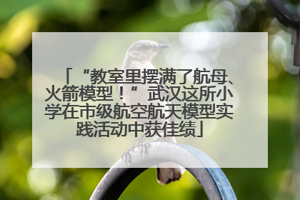 “教室里摆满了航母、火箭模型！”武汉这所小学在市级航空航天模型实践活动中获佳绩