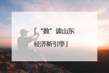 “数”读山东经济新引擎