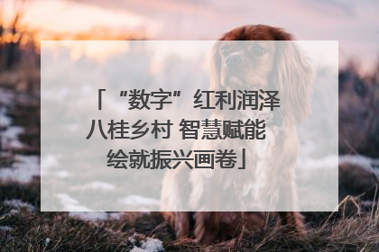 “数字”红利润泽八桂乡村 智慧赋能绘就振兴画卷