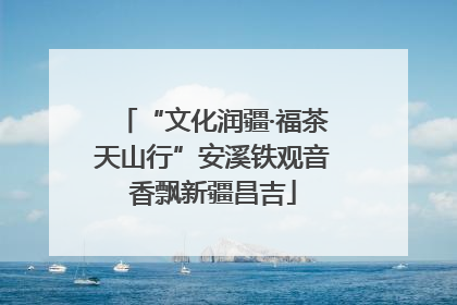 “文化润疆·福茶天山行”安溪铁观音香飘新疆昌吉