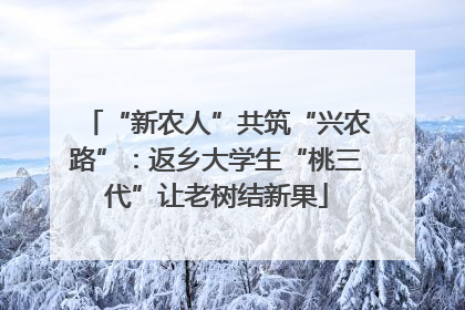 “新农人”共筑“兴农路”：返乡大学生“桃三代”让老树结新果