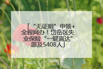 “无证明”申领+全程网办！岱岳区失业保险“一键直达”惠及5408人