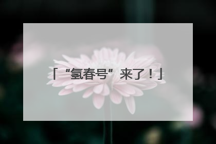 “氢春号”来了！