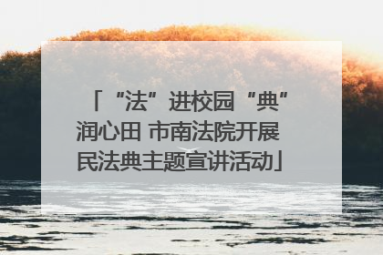 “法”进校园“典”润心田 市南法院开展民法典主题宣讲活动