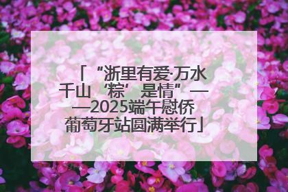 “浙里有爱·万水千山‘粽’是情”——2025端午慰侨葡萄牙站圆满举行