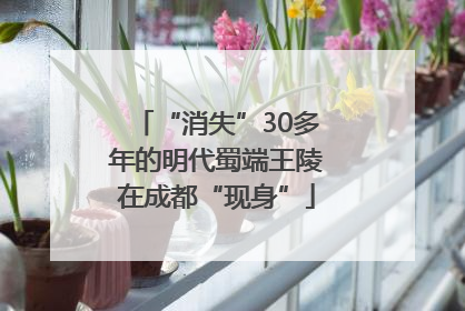 “消失”30多年的明代蜀端王陵在成都“现身”