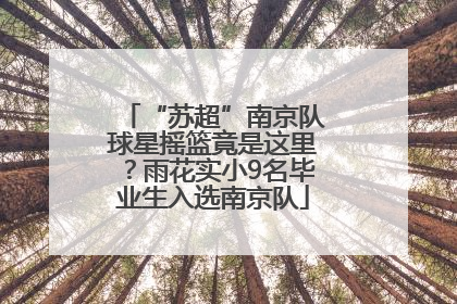 “苏超”南京队球星摇篮竟是这里？雨花实小9名毕业生入选南京队
