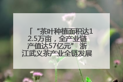 “茶叶种植面积达12.5万亩，全产业链产值达57亿元” 浙江武义茶产业全链发展“加速度”