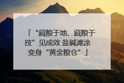 “藏粮于地、藏粮于技”见成效 盐碱滩涂变身“黄金粮仓”