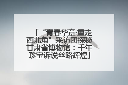 “青春华章·重走西北角”采访团探秘甘肃省博物馆：千年珍宝诉说丝路辉煌