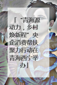 “青海源动力，乡村焕新程”央企消费帮扶聚力行动在青海西宁举办