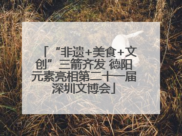 “非遗+美食+文创”三箭齐发 德阳元素亮相第二十一届深圳文博会